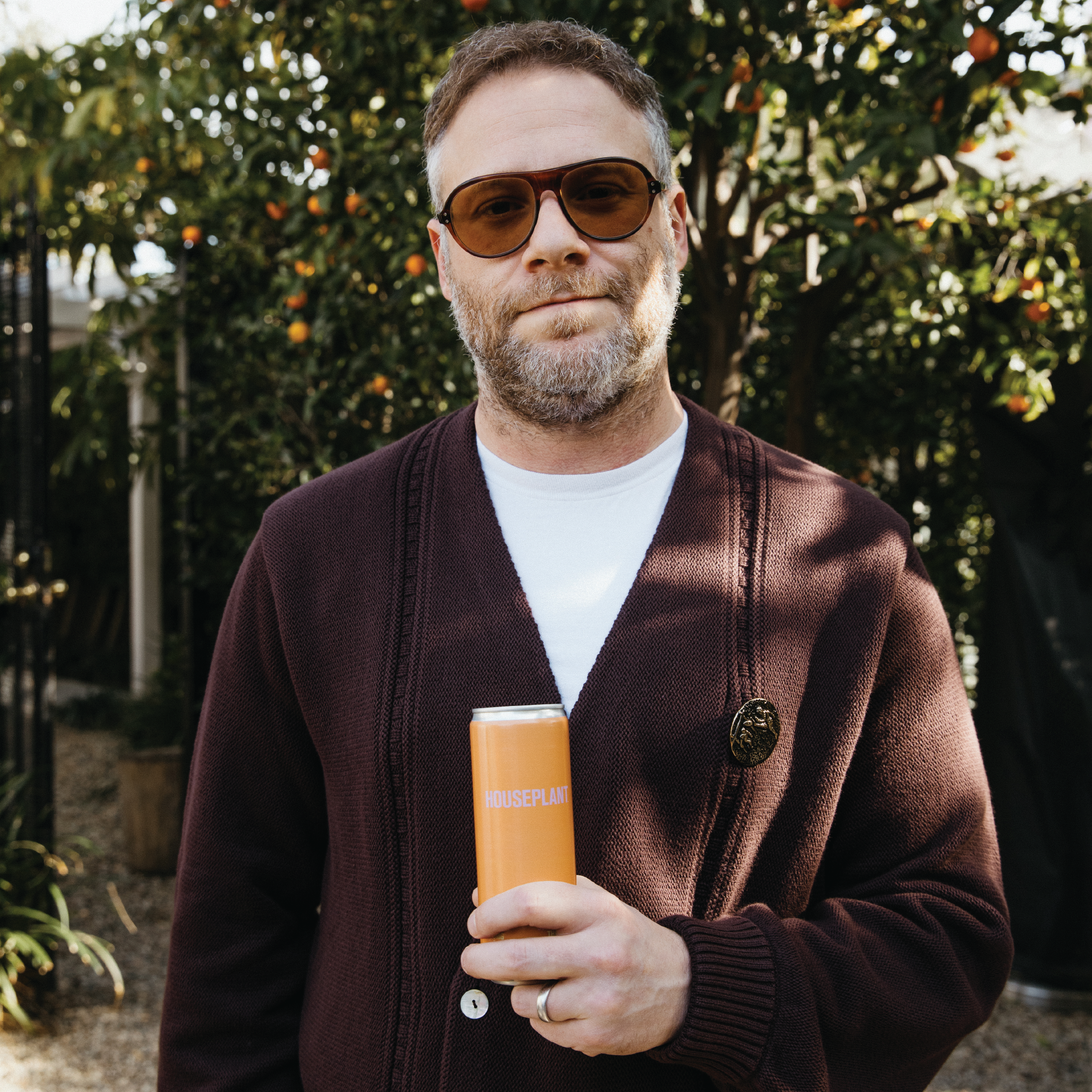 Citrus 4-Pack – Houseplant Beverages