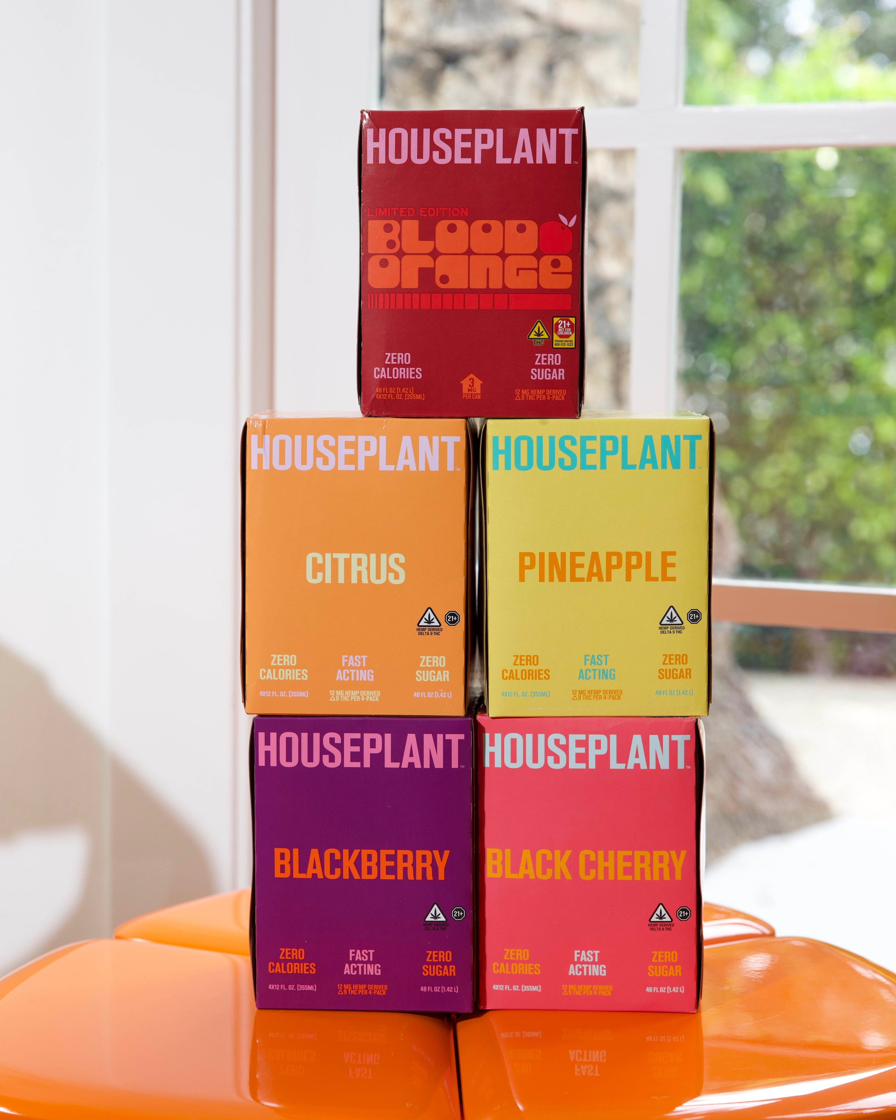 Seasonal Variety 20-Pack – Houseplant Beverages