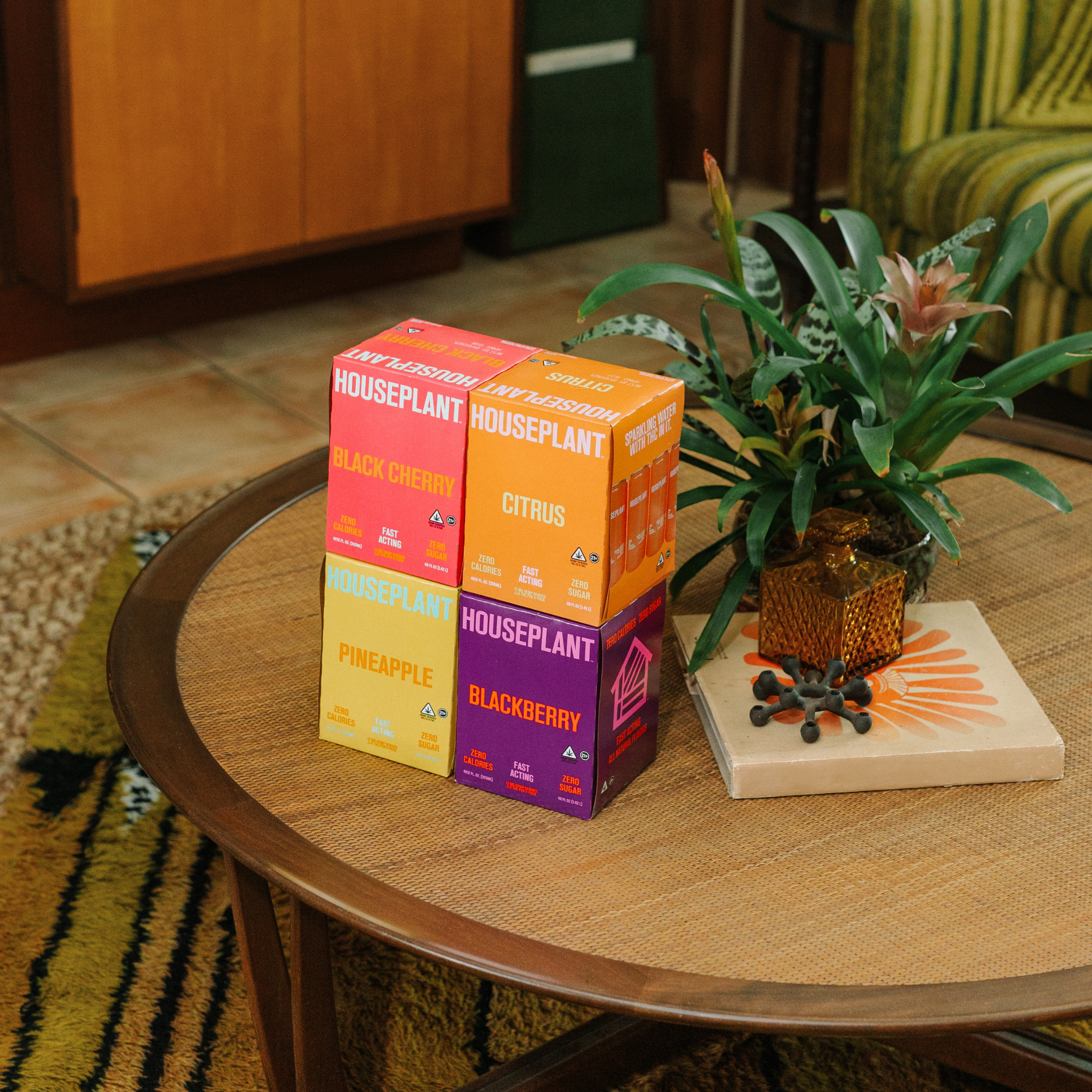 Variety 16-Pack – Houseplant Beverages