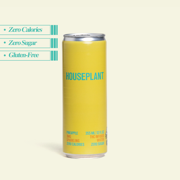 Pineapple 4-Pack – Houseplant Beverages