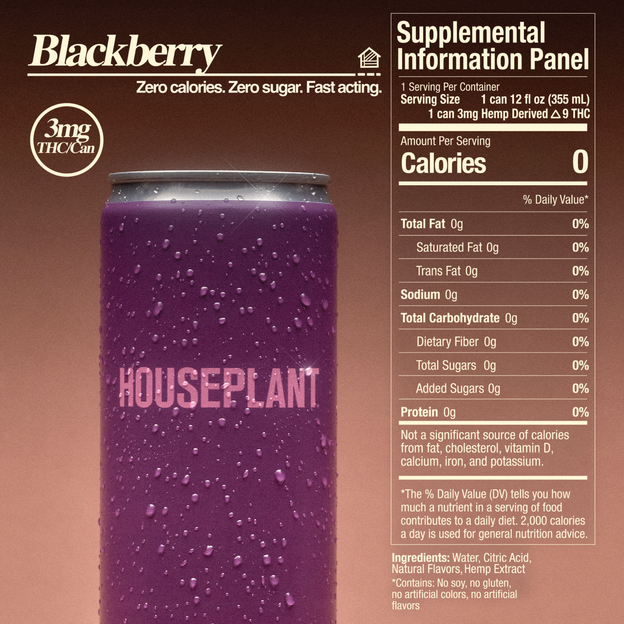Blackberry 4-Pack – Houseplant Beverages