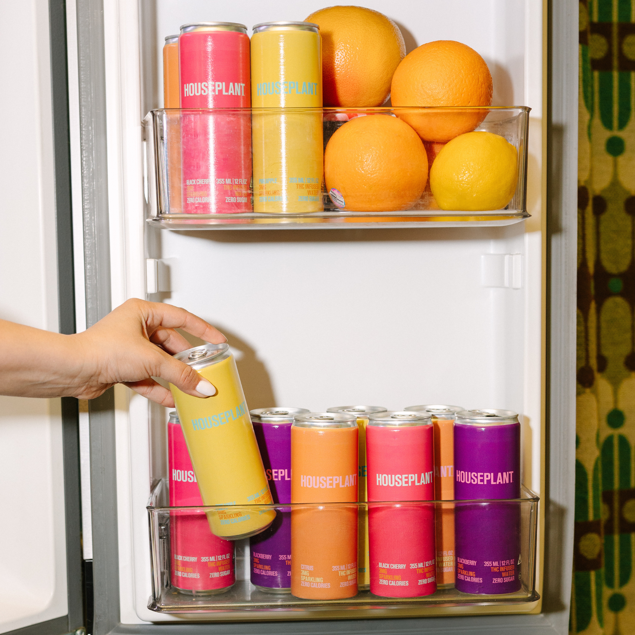 Variety 16-Pack – Houseplant Beverages